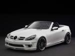 Mercedes-Benz SLK-Class R171 Final Performance RS Edition by Piecha Design 2010 года